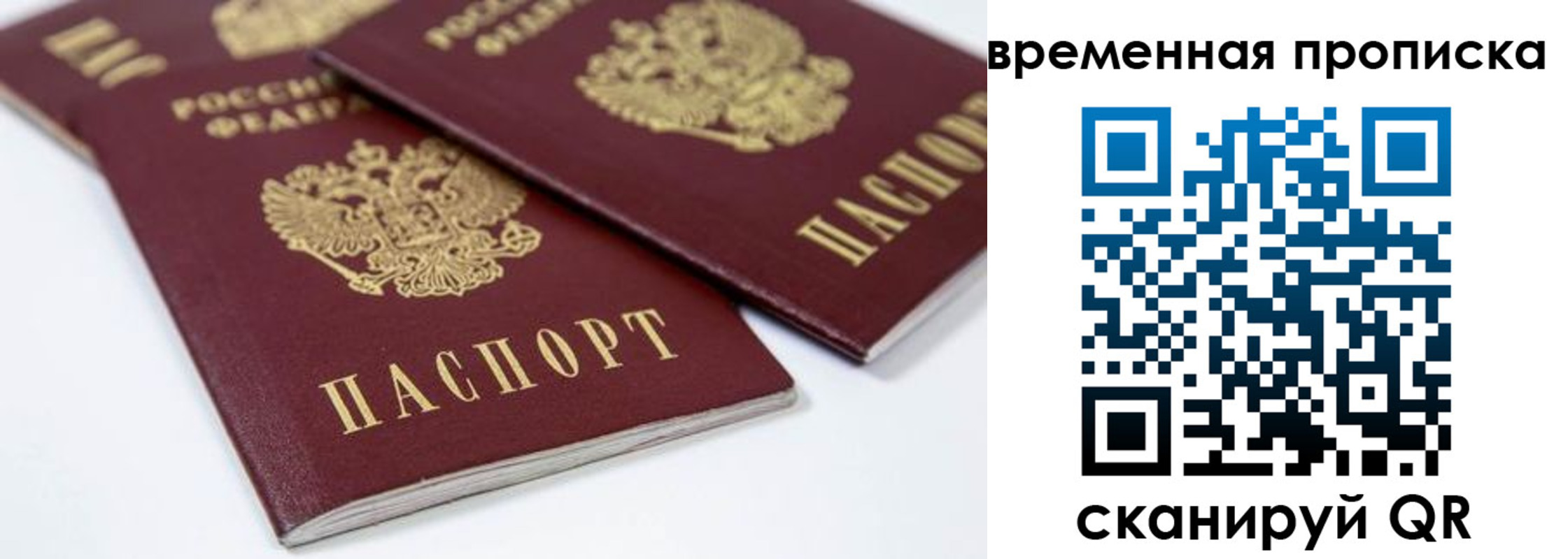 прописка для школы в Ленинградской области